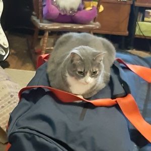 Meet your Posher, Joanne